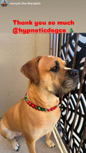 Load image into Gallery viewer, Mistletoe Glam Bead Collar