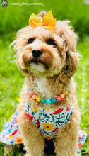 Load image into Gallery viewer, Rainbow Surf MINI Acrylic [Small Dog/Cat Bead Collar]