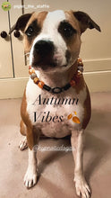 Load image into Gallery viewer, Autumn Leaves 🍂 Bead Collar