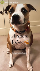 Autumn Leaves 🍂 Bead Collar
