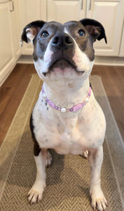 Lilac Rose Bead Collar