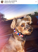 Load image into Gallery viewer, Americana Glam MINI [Small Dog/Cat Bead Collar]