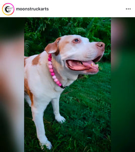 Pink Ombre Acrylic Bead Collar