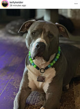 Load image into Gallery viewer, Neon Tropic Glow Acrylic Bead Collar