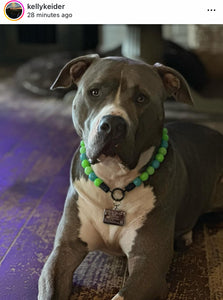Neon Tropic Glow Acrylic Bead Collar