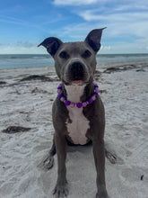 Load image into Gallery viewer, Purple Haze Bead Collar