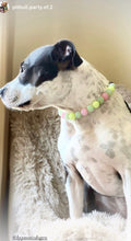 Load image into Gallery viewer, Blush &amp; Glow Acrylic Bead Collar