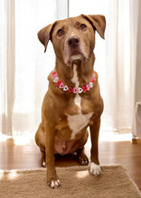 Load image into Gallery viewer, Electric Valentine Hearts Bead Collar