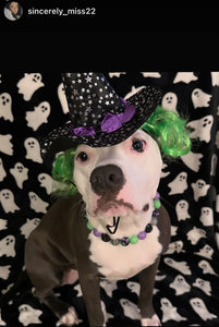 Midnight Cauldron Halloween Glow Bead Collar