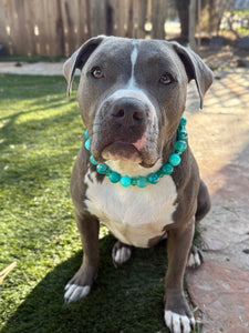 Caribbean Bead Collar