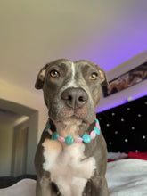 Load image into Gallery viewer, Bubblegum Waves Coin Bead Collar