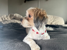 Load image into Gallery viewer, Red Snowflake MINI Glam Collar [Small Dog/Cat Bead Collar]