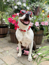 Load image into Gallery viewer, Red Cherry 🍒 Bead Collar