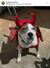 Load image into Gallery viewer, Witching Hour Halloween Bead Collar