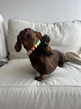 Load image into Gallery viewer, Pastel Rainbow Acrylic Bead Collar