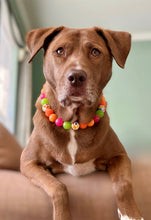 Load image into Gallery viewer, Groovy Daisies Bead Collar
