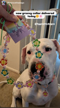 Load image into Gallery viewer, 🌼 Flower Power 🌼 Bead Collar