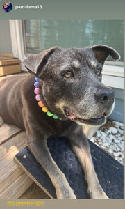 Pastel Rainbow Acrylic Bead Collar