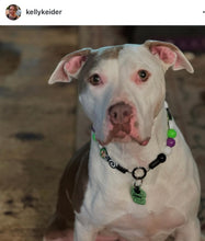 Load image into Gallery viewer, Beetlejuice Bead Collar