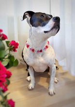 Load image into Gallery viewer, Electric Valentine Hearts Bead Collar