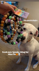 Autumn Leaves 🍂 Bead Collar