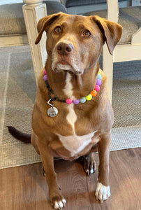 Electric Rainbow Bead Collar