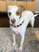 Load image into Gallery viewer, PERSONALIZED Pumpkin Spice Halloween Bead Collar