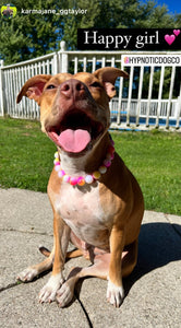 Pink Sunset Tie Dye Acrylic Bead Collar