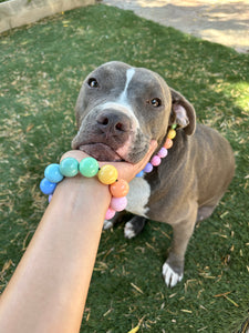 Pastel Rainbow Acrylic Bead Collar