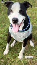 Load image into Gallery viewer, Neptune Blue Bead Collar