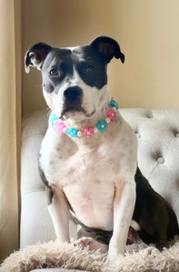 🌼 Pink & Blue Glow Daisies 🌼 Silicone Bead Collar