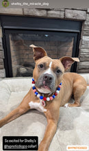 Load image into Gallery viewer, Americana Glam Bead Collar