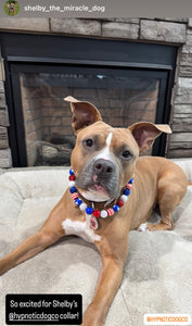 Americana Glam Bead Collar
