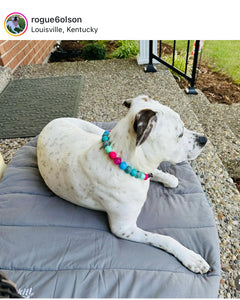 Margarita Splash Bead Collar