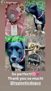Dog Engraved Circle Name Tags