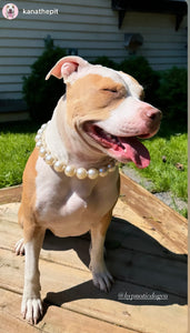 Chunky White Pearls Acrylic Bead Collar