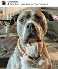 Load image into Gallery viewer, Orange Waves Resin Bead Collar