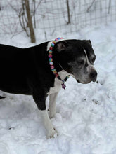 Load image into Gallery viewer, Rainbow Glitz 🌈 Bead Collar
