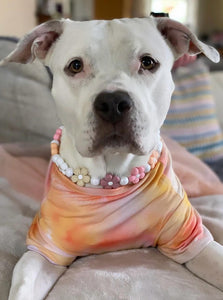 🌼 Vintage Daisies 🌼 Silicone Bead Collar