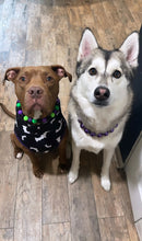 Load image into Gallery viewer, Monster Bash Bead Collar