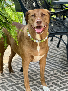 Green Tea Bead Collar