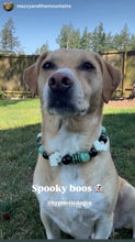 Load image into Gallery viewer, Ghostly Glow 👻 Bead Collar