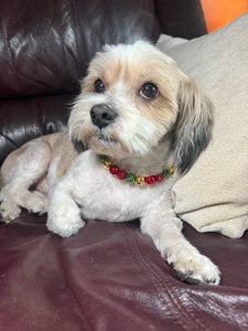 Jingle Bell Rock MINI Glam Collar [Small Dog/Cat Bead Collar]