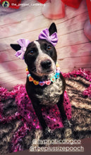 Load image into Gallery viewer, PERSONALIZED Candy Sweetheart Bead Collar