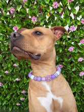 Load image into Gallery viewer, Purple Daisies Glam 🌼 Silicone Bead Collar