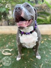 Load image into Gallery viewer, Fright Night Bead Collar