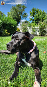 Watermelon Ice Acrylic Bead Collar