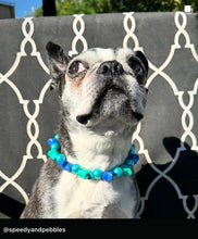 Load image into Gallery viewer, Aqua Stars Bead Collar