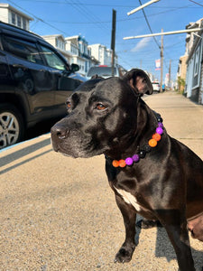 Witching Hour Halloween Bead Collar