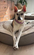 Load image into Gallery viewer, Chunky Orchid Purple Pearls Acrylic Bead Collar